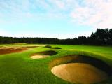 images/Courses/Formby/formby2.jpg